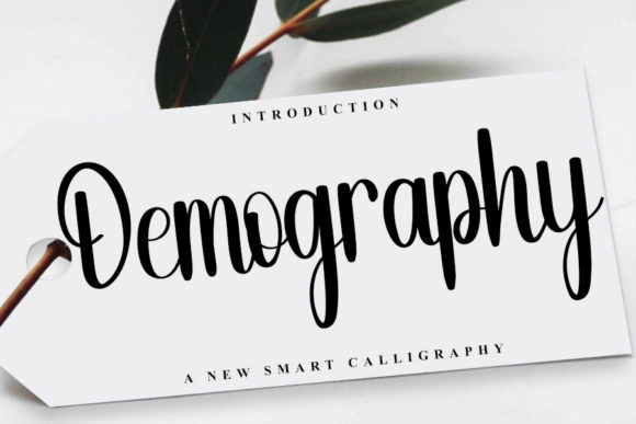 Demography Font for Web Design