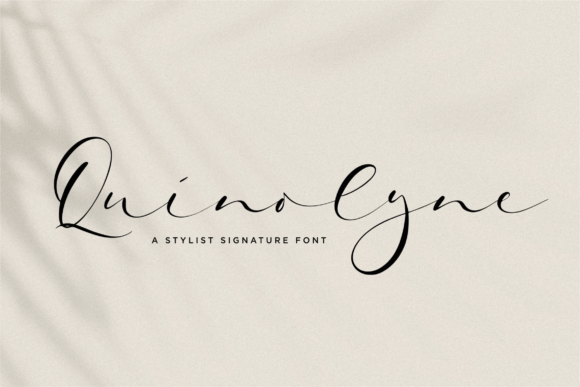 Quinolyne Font Review: A Romantic Script for Branding Projects
