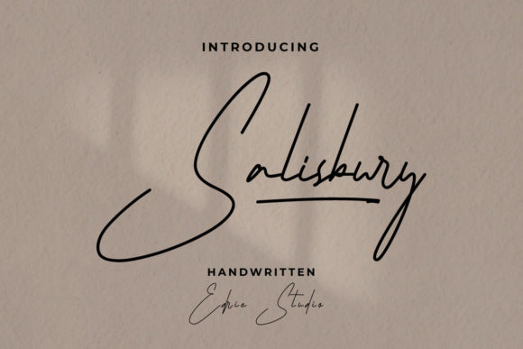 Salisbury Font for Polished Branding